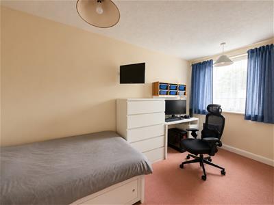 Picture 17